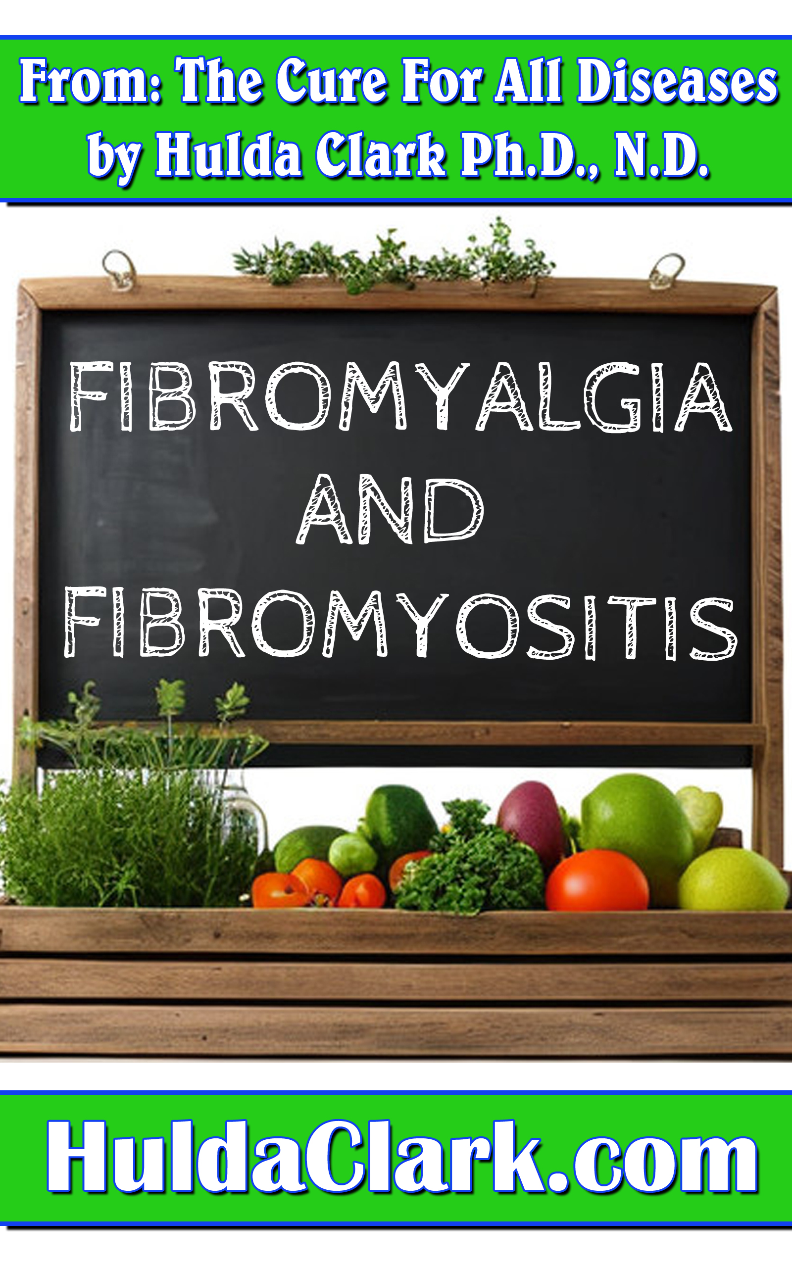 Fibromyositis and Fibromyalgia Ebook excerpt from The Cure for All Diseases by Hulda Clark