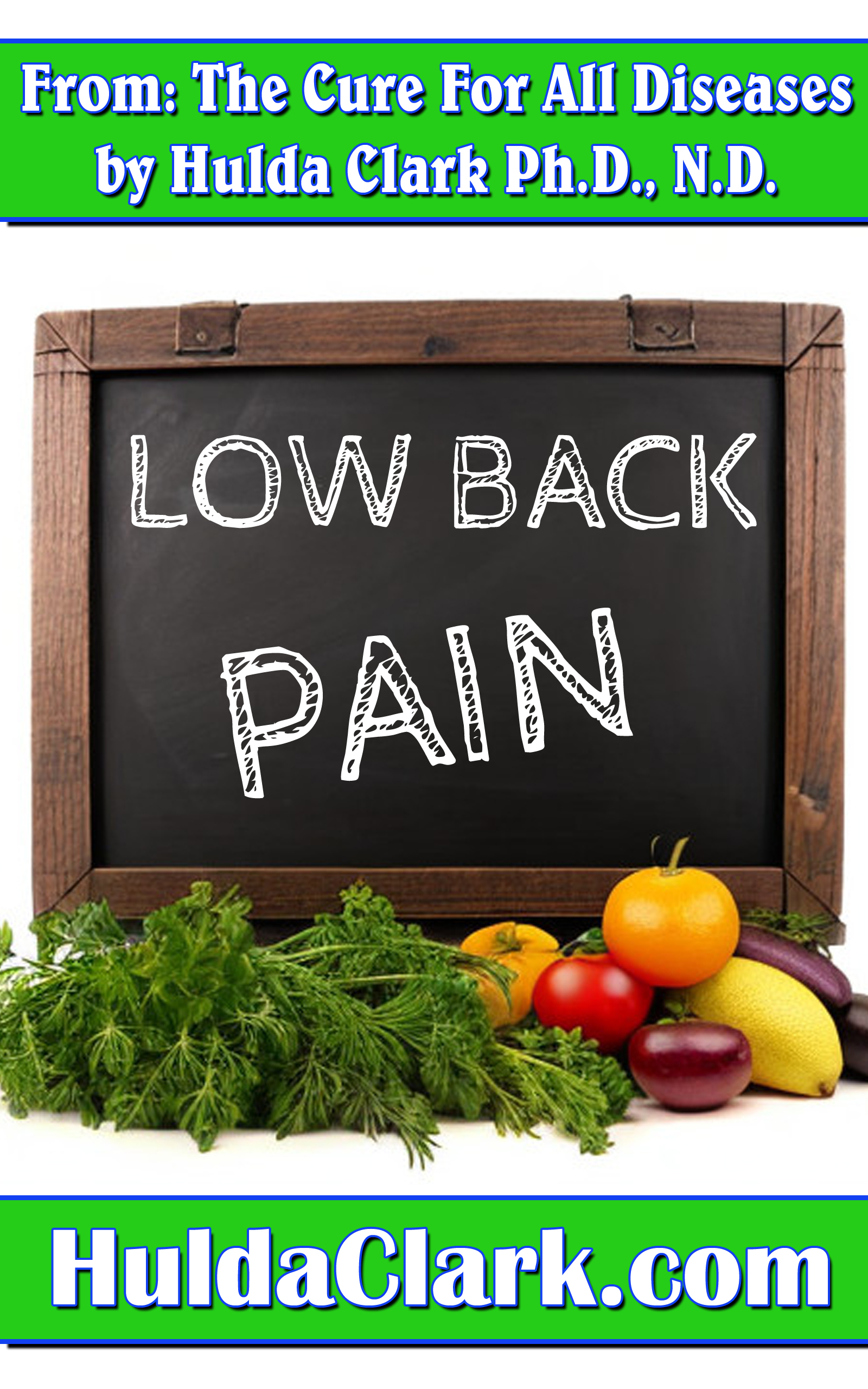 Low Back Pain Ebook excerpt from The Cure for All Diseases by Hulda Clark