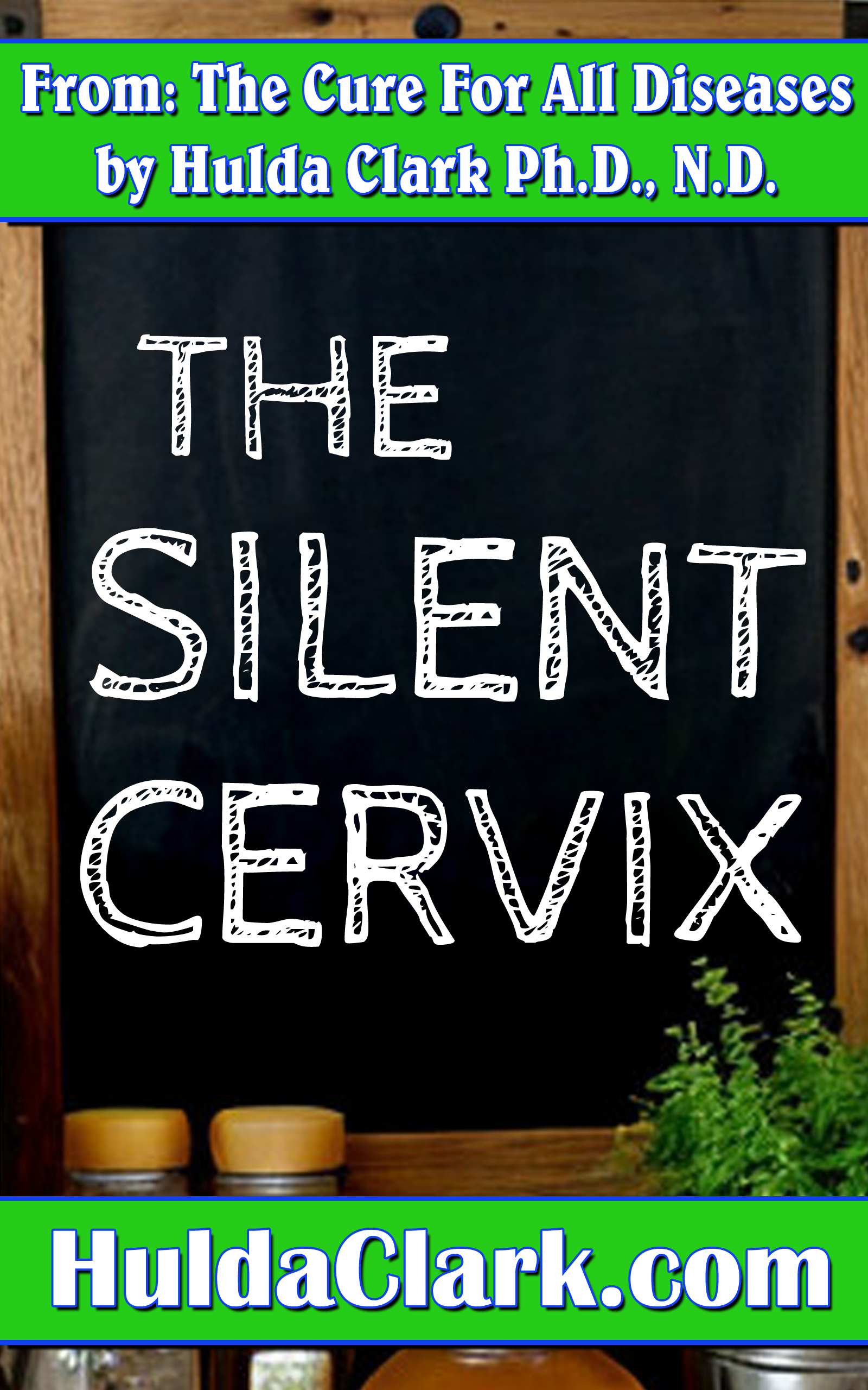 Silent Cervix Ebook excerpt from The Cure for All Diseases by Hulda Clark